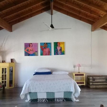 La Casa De Los Murales Avellaneda  Esterno foto
